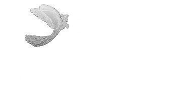 Wedding Planning And Bridal Accessories